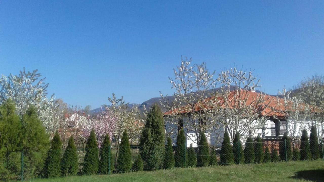 House Milovanovic Soko Banja Exterior foto